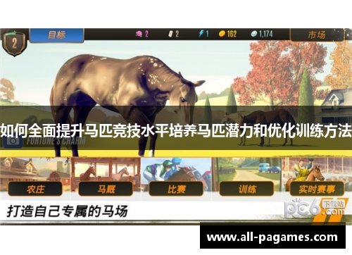 如何全面提升马匹竞技水平培养马匹潜力和优化训练方法 如何全面提升马匹竞技水平培养马匹潜力和优化训练方法
