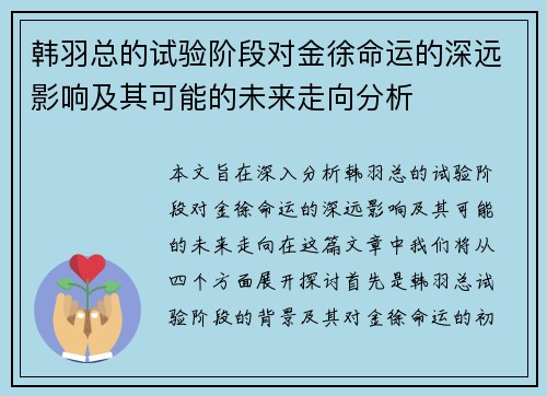韩羽总的试验阶段对金徐命运的深远影响及其可能的未来走向分析