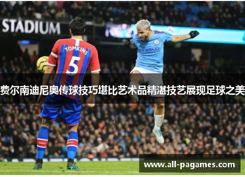 费尔南迪尼奥传球技巧堪比艺术品精湛技艺展现足球之美